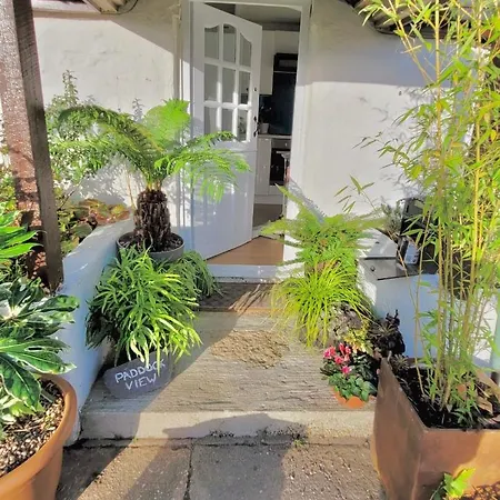 Idyllic Cornish Cottage, Superking Bed, Private Garden Dogs Welcome Truro Exterior photo