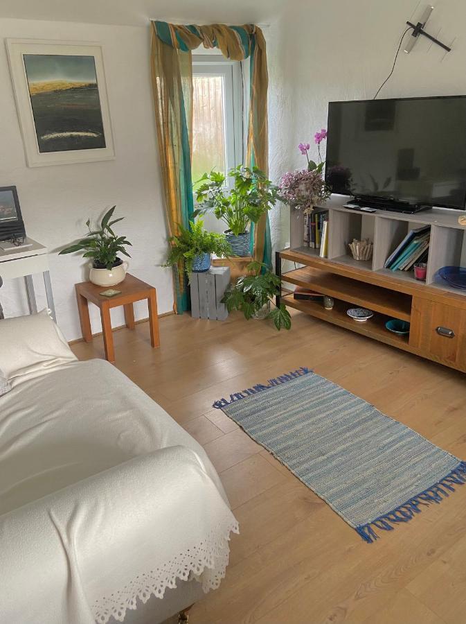 Idyllic Cornish Cottage, Superking Bed, Private Garden Dogs Welcome Truro