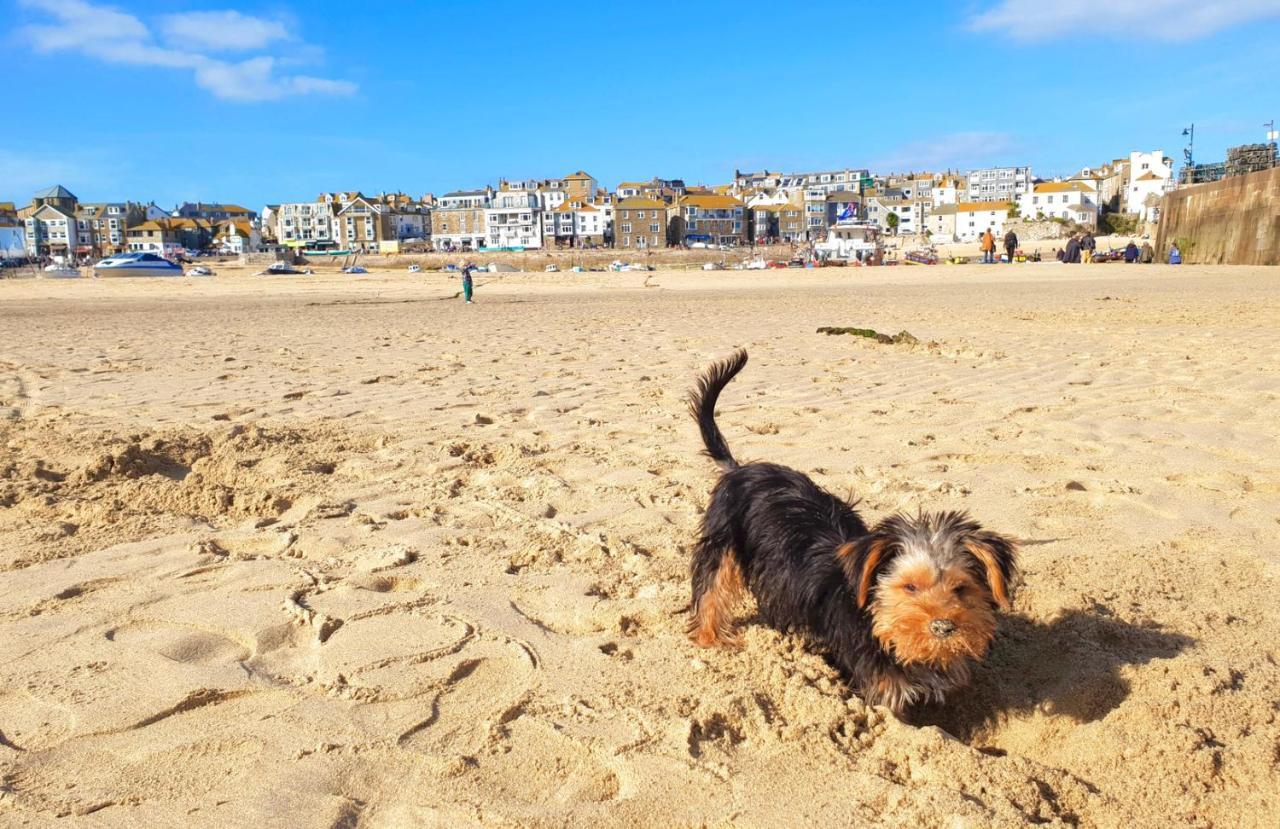 Idyllic Cornish Cottage, Superking Bed, Private Garden Dogs Welcome Сasa de vacaciones Truro