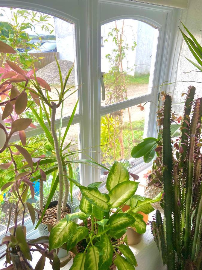 Idyllic Cornish Cottage, Superking Bed, Private Garden Dogs Welcome