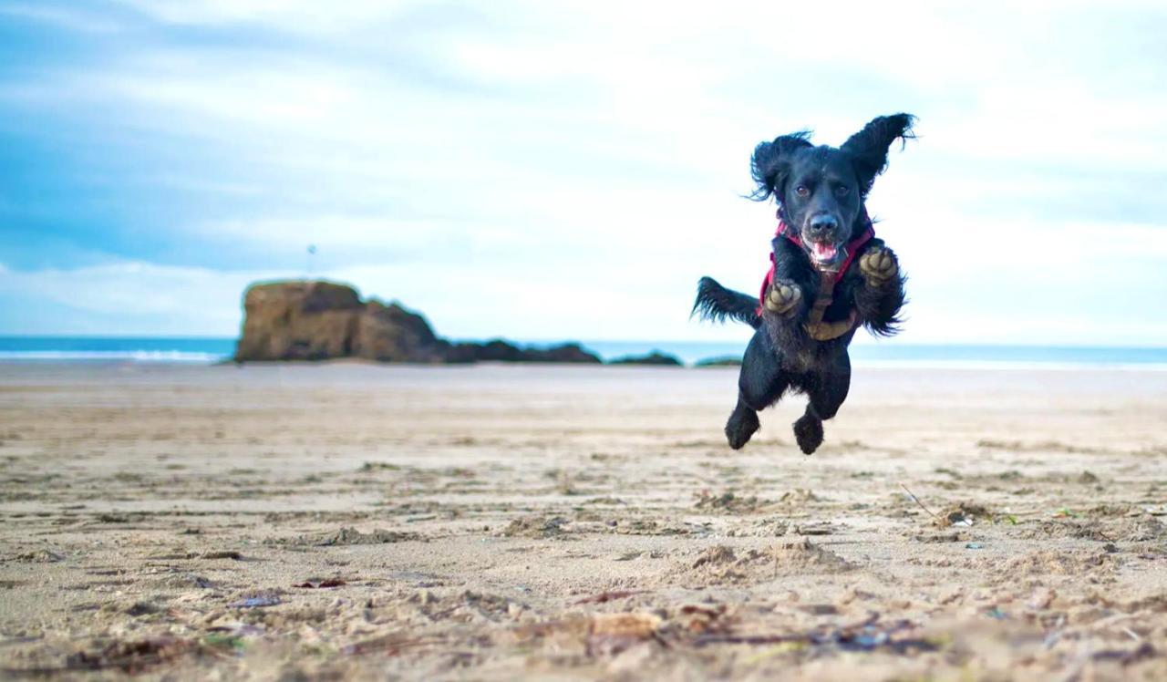 Сasa de vacaciones Idyllic Cornish Cottage, Superking Bed, Private Garden Dogs Welcome *